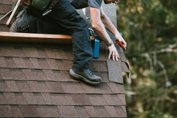 Best Roof Gutter Cleaning  in Mino, CA